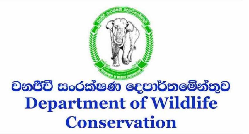 වනෝද්‍යානවල සතුන්ගේ පරිභෝජනයට ජල පිරවුම්..